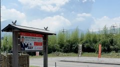 日本新燃岳火山喷出灰色烟柱 鹿儿岛机场50多航班取消